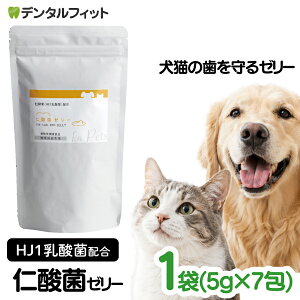 �y���|�C���g5�{ 10/10 0:00-10/12 23:59�zH&JIN �m�_�� �V�[�g�^�[���[�^�p�E�_�[ �����p ������ HJ1���_�� �T�v�������g �� �L�yJIN-SAN-KIN �G�C�`�W���u���X ���o���P�A �����a �P�ʋ� ���_�� �H�i ��