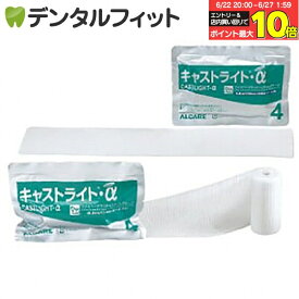 【★エントリー＆店内3点購入でP10倍(6/22 20:00-6/27 1:59迄)】【送料無料】アルケア キャストライト α ロール2号