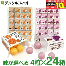 【★エントリー＆店内3点購入でP10倍(6/22 20:00-6/27 1:59迄)】キシリトールガム 歯科専用 味が選べる トレーニング フーセンガム(4粒×24箱) グレープ味/オレンジ味 風船ガム キシリトール配合 ぶどう風味 【メール便選択で送料無料】