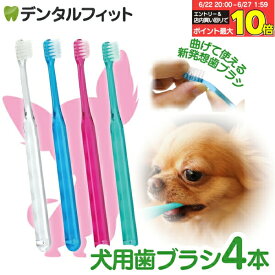 【★20％ポイントバック 7/1 9:59迄】犬用 歯ブラシ / Ci シュワワ / 4本セット（4色アソート）【Ciメディカル 歯ブラシ】（メール便8点まで）【メール便選択で送料無料】