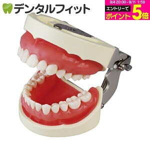 yGg[P5{ 9/11 1:59zԏCp{͌^ (NISSIN DENTAL MODEL) (D16FE-500A(GSF)-QF)(Ȉ@wp͌^)