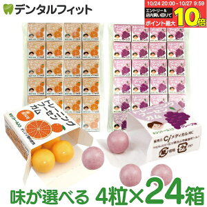 【★エントリーと店内3点購入でP10倍(10/24 20:00-10/27 9:59迄)】キシリトールガム 歯科専用 トレーニング フーセンガム(4粒×24箱) グレープ味/オレンジ味 風船ガム キシリトール配合 ぶどう風味