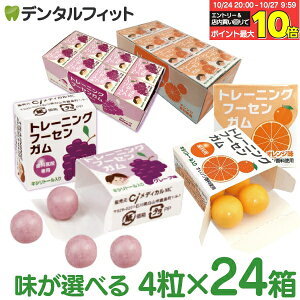 【★エントリーと店内3点購入でP10倍(10/24 20:00-10/27 9:59迄)】キシリトールガム 歯科専用 歯科医院専用トレーニング フーセンガム(4粒×24箱) グレープ味/オレンジ味 風船ガム キシリトール配合