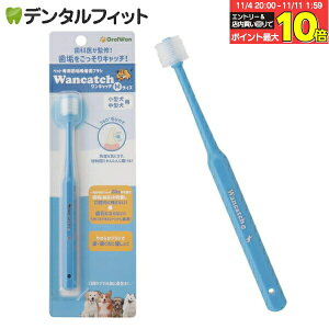 yGg[ƓX3_wP10{(11/4 20:00-11/11 1:59)z{ ybgpuV Lb`iWancatchj MTCYi^E^pj[eBE[R[|[V]