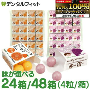 y118~OFFN[| 11/1 10:00-11/11 1:59zLVg[K Ȑp g[jO t[ZK 24/48(4/) O[v/IW DK LVg[z Ԃǂ y[֑I