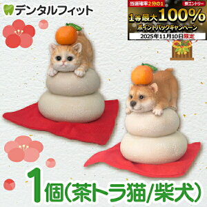 yGg[ƓX3_wP10{(11/4 20:00-11/11 1:59)zݏ L/ 1 IuWF gL Č WooBia E[rA ̌ւ VN  ֏ p }V 킢  