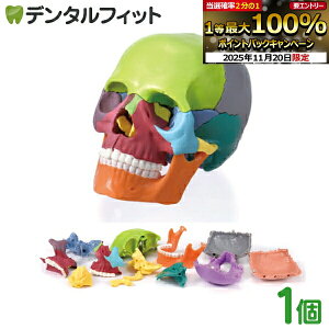 y|Cg5{ 11/19 23:59z~j~jXJ15 1 ̂ЂTCY W J[ l̖͌^  wUw w pY ͌^ 15 [ {֐ ͌^ i  \ gݗ y