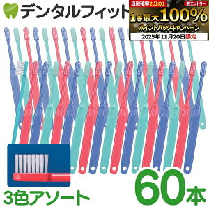 y40|CgobN 11/26 9:59 zuV Ci 202 ^te[p[v~A Mӂ 2Zbg(30{/ v60{) ^ 3FA\[gFO[Au[AbhyCifBJ uVz