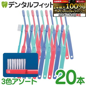 y40|CgobN 11/26 9:59 zuV Ci 202 ^te[p[v~A Mӂ 20{ 3FA\[gFO[Au[AbhyCifBJ uVzy[֑Iőz