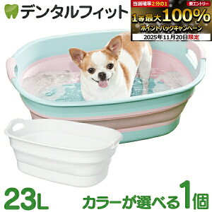 y|Cg5{ 11/19 23:59z\tg^u Ch 1 ɐ e23L ܂肽ݎybgoX ̂C RpNgɎ[\ ֗Ȑt VтJSEpo