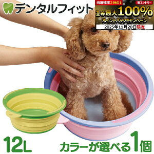 y|Cg5{ 11/19 23:59z\tg^u 1 ɐ e12L ܂肽ݎybgoX ̂C RpNgɎ[\  hЗpiƂ 㗚EXj[J[􂢓ɂgp