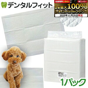 yGg[ƓX3_wP10{(11/20 20:00-11/27 1:59)zCiƖpybgV[c X^ 1pbN M[(300) Ch(150) X[p[Ch(75)