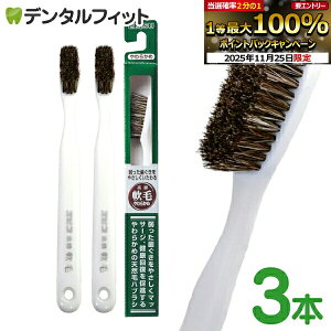 GrX юuV 炩 3{Zbg ₳鍂юuV EBiSU B-N35 VRт̃nuV ₩ɃJ[uAтsɃtBbg zCg F([