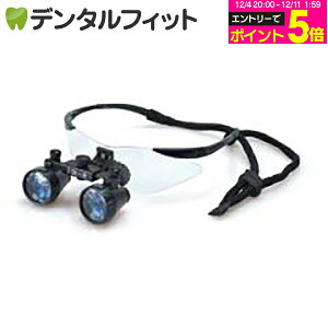 y撅100~OFFN[|+Gg[P5{ 12/4-12/11zDF2.5{XR[vyFTP+z(ȗp[y) / ubN yz