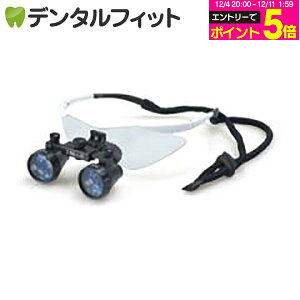 y撅100~OFFN[|+Gg[P5{ 12/4-12/11zDF2.5{XR[vyFTP+z(ȗp[y) / zCg yz