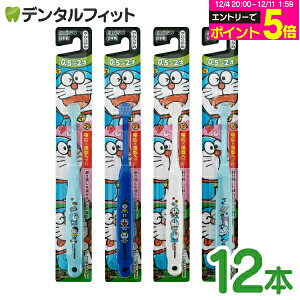 yGg[P5{ 12/4-12/11zGrX qǂpuV 0.5`2Ό 炩 ACh 12{ yz