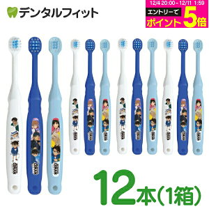 y撅100~OFFN[|+Gg[P5{ 12/4-12/11zqǂpuV 2`6Ό TRi 12{ / GrX EBiSU q uV yz