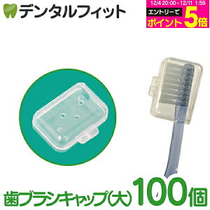 yGg[P5{ 12/4-12/11zuVLbv() / 100 ynuVLbv e 傫 s gїp ܂Ƃߔz