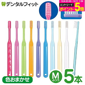 yGg[P5{ 12/4-12/11zCi PRO / Mӂ / 5{yCifBJ uV { zJ[͓X܂ł