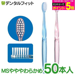 y50%OFFzCiZo[uV MS炩 50{ tbg(Eh ) 2FA\[g u[ sN  傫߃wbh ĝ \ G`Pbgp yCifBJ 