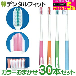 y25%OFFz uV ZV ӂ 1(30{) yCifBJ p nuV V^Jbg MӂzJ[͓X܂ƂȂ܂ yz