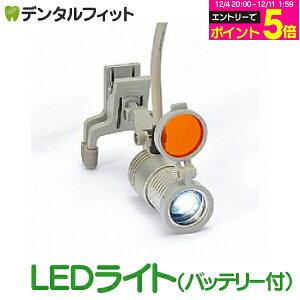 y撅100~OFFN[|+Gg[P5{ 12/4-12/11zȗp[y LEDCg Vo[(obe[tj[y͕ʔł yz