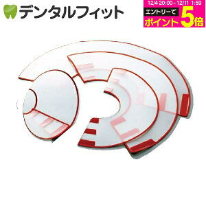 y撅100~OFFN[|+Gg[P5{ 12/4-12/11z׃eilbNJ[[gbv] iXXSj1