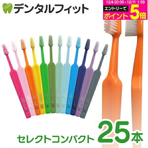 y撅100~OFFN[|+Gg[P5{ 12/4-12/11zTepe ey uV ZNgRpNg^GNXg\tg 25{/ yz