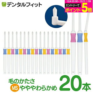 y30%OFFz^tg Profits MS炩 20{ZbgyBF-N10MSzyCifBJ uVz([2_܂)y[֑Iőz