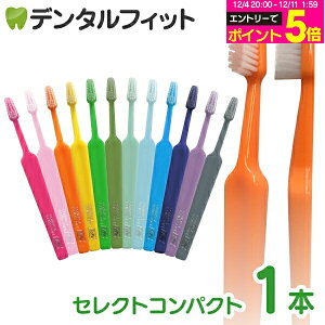 y撅100~OFFN[|+Gg[P5{ 12/4-12/11zTepe ey uV ZNgRpNg^~fBA 1{