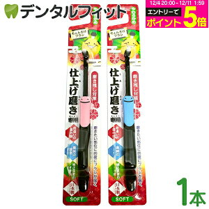 y撅100~OFFN[|+Gg[P5{ 12/4-12/11zuV ^tg ܂uV 炩 1{ (EBiSU)@GrX@dグ LbY q ~Jbg { ǔԂɁ