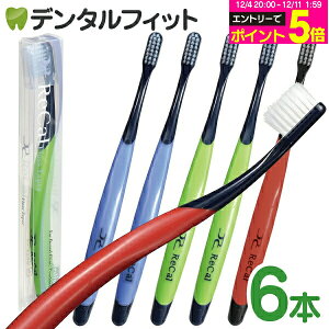 yGg[P5{ 12/4-12/11zJ uV tXe[p[(Mӂ)ubNnh Lbvt 6{yCifBJ uVzy[֑Iőz