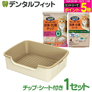 yGg[P5{ 12/4-12/11zjƂgC Vv^Cv Cgx[W 1ZbgyGXe[ Lp gC P[WݒuOK ELV[g `bvtz