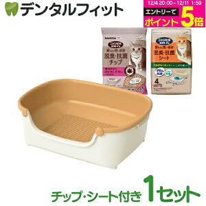 yGg[P5{ 12/4-12/11zjƂgCRpNg (AC{[y[IW) 1ZbgyGXe[ Lp gC P[WݒuOK ELV[g `bvt qLp z