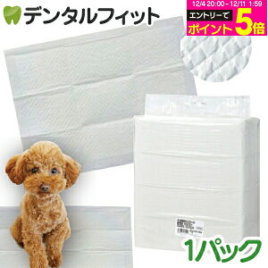 yGg[P5{ 12/4-12/11zCiƖpybgV[c X^ 1pbN M[(300) Ch(150) X[p[Ch(75)