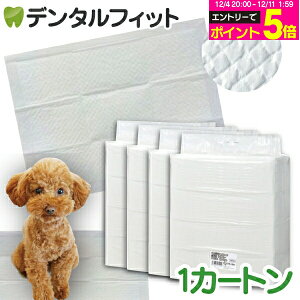 y撅100~OFFN[|+Gg[P5{ 12/4-12/11zCiƖpybgV[c X^ 1J[g(4pbN) M[(1200) Ch(600) X[p[Ch(300) yz