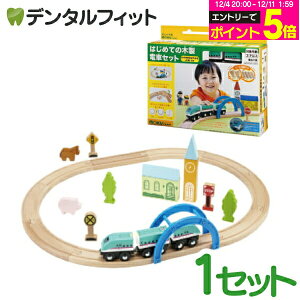 y撅100~OFFN[|+Gg[P5{ 12/4-12/11zmoku TRAIN (NgC) ͂߂Ă̖ؐdԃZbg y||fb^ ؂̂ mߋ d S z yz