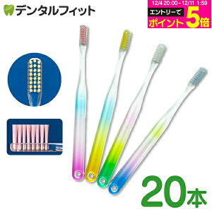 y30%OFFzCi x[VbN C{[ tbg Mӂ 20{ ^ uV { NAyCifBJ uVz ([1_܂)y[֑Iőz