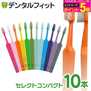 y撅100~OFFN[|+Gg[P5{ 12/4-12/11zTepe ey uV ZNgRpNg^~fBA 10{i[4_܂Łjy[֑Iőz