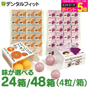 y10%OFFzLVg[K Ȑp g[jO t[ZK 24/48(4/) O[v/IW DK LVg[z Ԃǂ y[֑Iőz