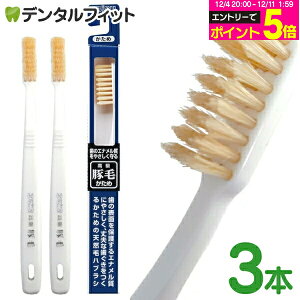 GrX ؖюuV  3{Zbg ̃Gi₳鍂ؖюuV EBiSU B-T35 VRт̃nuV R^Jbg̐[WAтŎCɗDꂽʂ𔭊 zCg F(