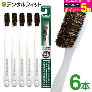 GrX юuV 炩 6{Zbg ₳鍂юuV EBiSU B-N35 VRт̃nuV ₩ɃJ[uAтsɃtBbg zCg F([