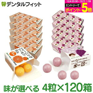 yGg[P5{ 12/4-12/11zLVg[K Ȑp g[jO t[ZK(4×120) O[v/IW DK LVg[z Ԃǂ ܂Ƃߔyz