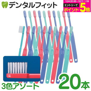 y50%OFFzuV Ci 202 ^te[p[v~A Mӂ 20{ 3FA\[gFO[Au[AbhyCifBJ uVzy[֑Iőz