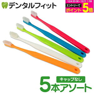 y撅100~OFFN[|+Gg[P5{ 12/4-12/11zCi 703 ɔwbh / MS炩 5{yCifBJ uVzi[6_܂Łjy[֑Iőz