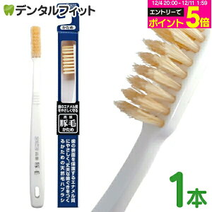 y撅100~OFFN[|+Gg[P5{ 12/4-12/11zGrX ؖюuV  1{ ̃Gi₳鍂ؖюuV EBiSU B-T35 VRт̃nuV R^Jbg̐[WAт