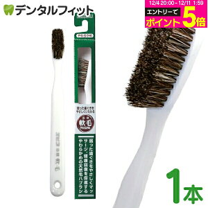 y撅100~OFFN[|+Gg[P5{ 12/4-12/11zGrX юuV 炩 1{ ₳鍂юuV EBiSU B-N35 VRт̃nuV ₩ɃJ[u