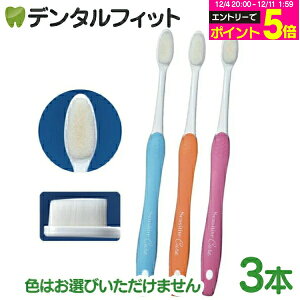 yGg[P5{ 12/4-12/11zZVeBuLA S炩 3{Zbg([4_܂) |Cg |Cg moߕq uVy[֑IőzaPA J[w