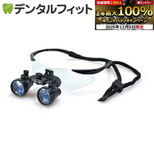 y撅100~OFFN[|+Gg[P5{ 12/4-12/11zDF2.5{XR[vyFTP+z(ȗp[y) / ubN yz