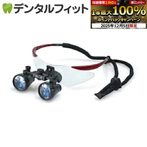 y撅100~OFFN[|+Gg[P5{ 12/4-12/11zDF2.5{XR[vyFTP+z(ȗp[y) / C yz